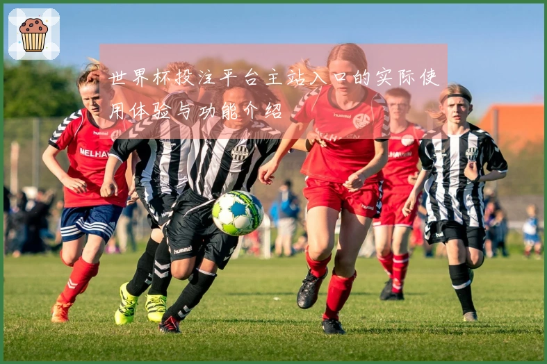 世界杯投注平台主站入口的实际使用体验与功能介绍