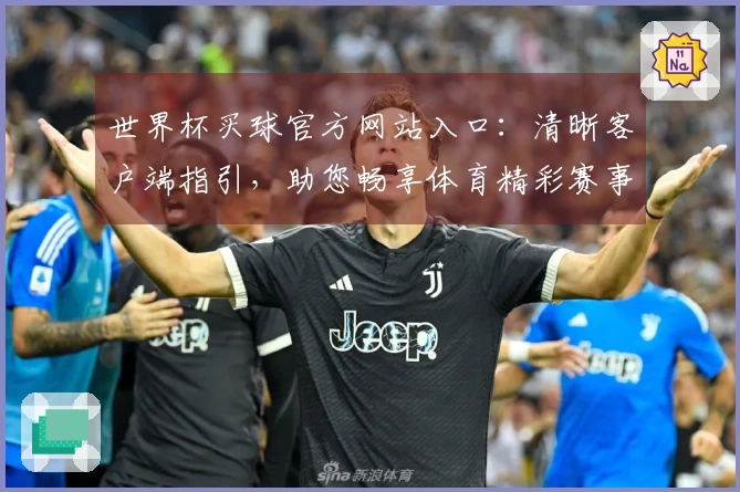 世界杯买球官方网站入口：清晰客户端指引，助您畅享体育精彩赛事体验