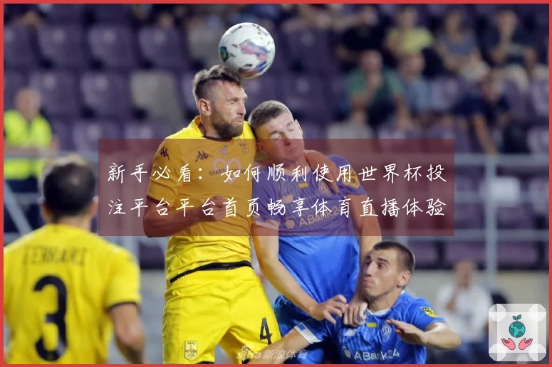 新手必看：如何顺利使用世界杯投注平台平台首页畅享体育直播体验