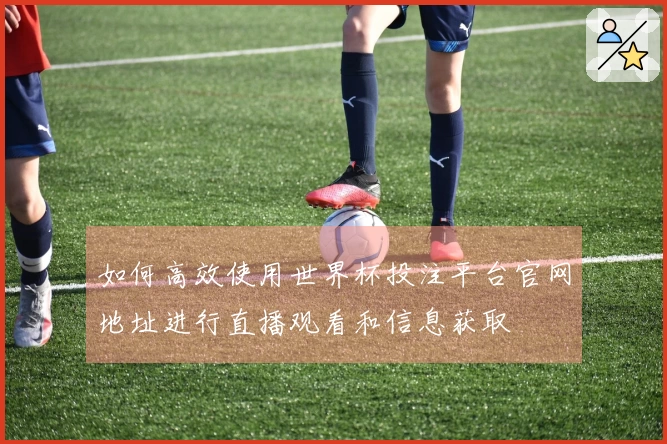 如何高效使用世界杯投注平台官网地址进行直播观看和信息获取