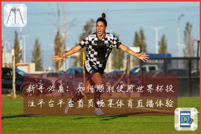 新手必看：如何顺利使用世界杯投注平台平台首页畅享体育直播体验
