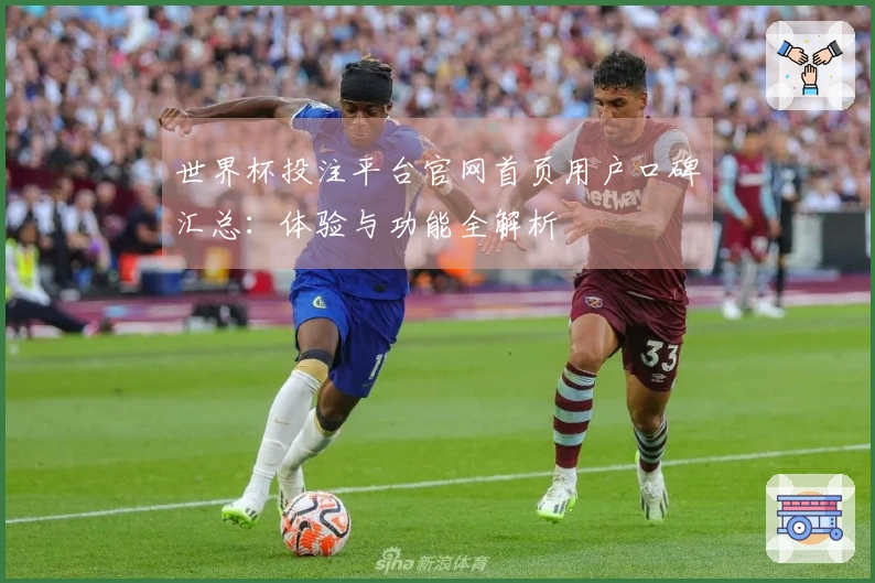 世界杯投注平台官网首页用户口碑汇总：体验与功能全解析