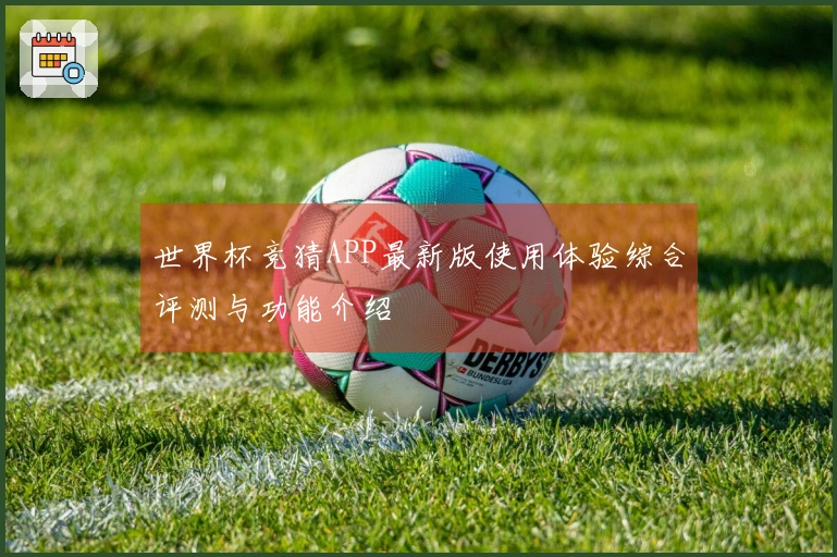 世界杯竞猜APP最新版使用体验综合评测与功能介绍