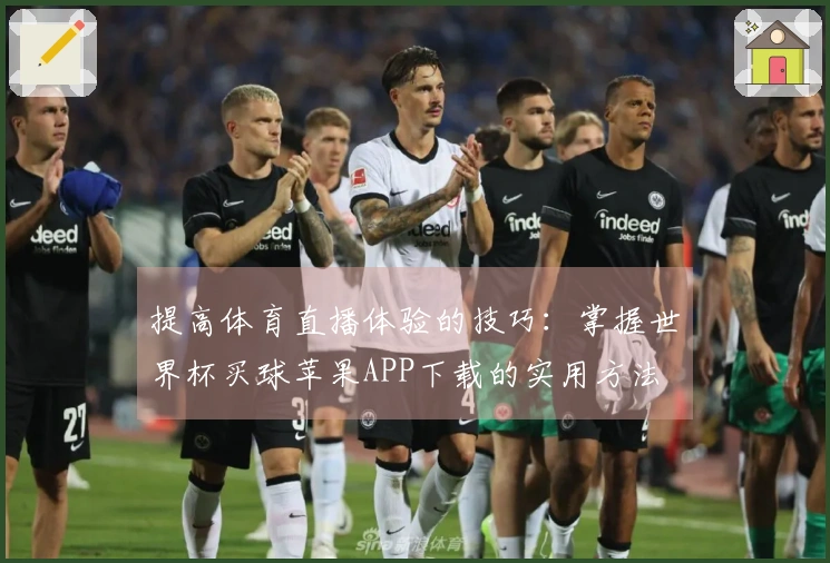 提高体育直播体验的技巧：掌握世界杯买球苹果APP下载的实用方法