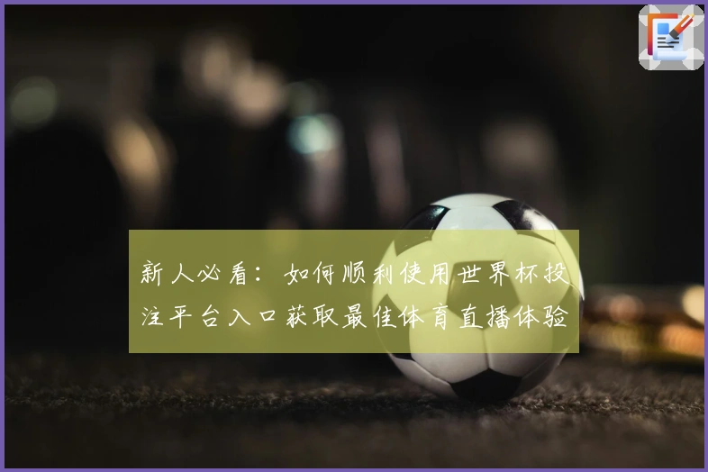 新人必看：如何顺利使用世界杯投注平台入口获取最佳体育直播体验