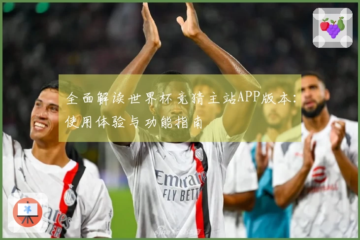 全面解读世界杯竞猜主站APP版本：使用体验与功能指南