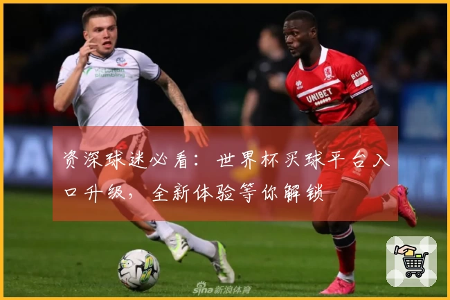 资深球迷必看：世界杯买球平台入口升级，全新体验等你解锁