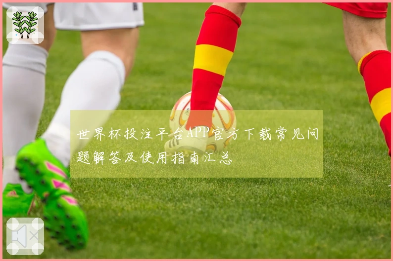 世界杯投注平台APP官方下载常见问题解答及使用指南汇总