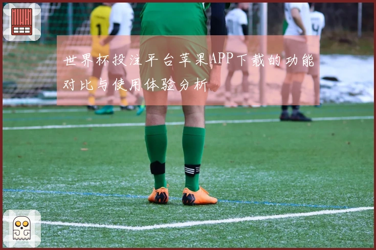 世界杯投注平台苹果APP下载的功能对比与使用体验分析