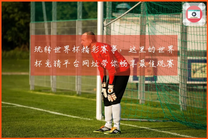 玩转世界杯精彩赛事,这里的世界杯竞猜平台网址带你畅享最佳观赛体验