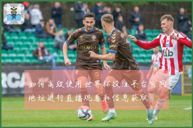 如何高效使用世界杯投注平台官网地址进行直播观看和信息获取